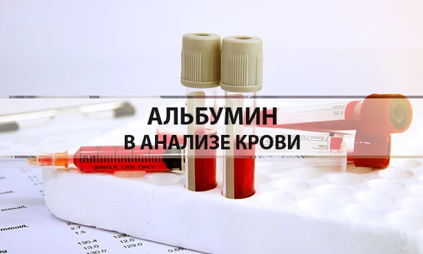 Альбумин в анализе крови