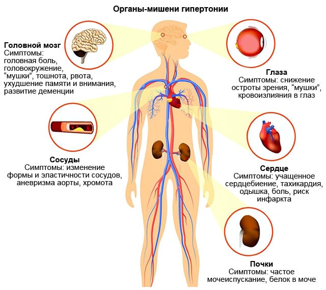 Органы мишени при гипертонии