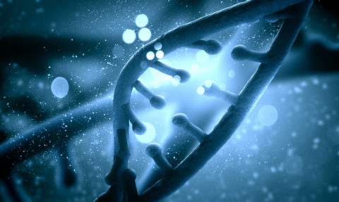 Генетическая предрасположенность как одна из причин развития оксалурии.