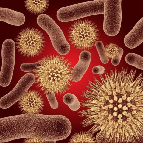 Инфицирование вирусами и бактериями — основная причина развития болезни