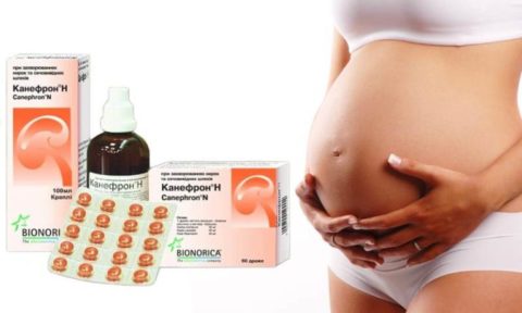 Канефрон – безопасный препарат для будущих мам