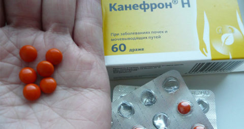 Канефрон – популярное лекарственное средство.