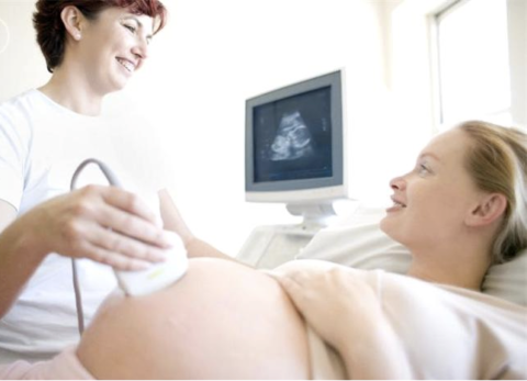 Окончательное развитие почек приходится на 5-6 месяц беременности.