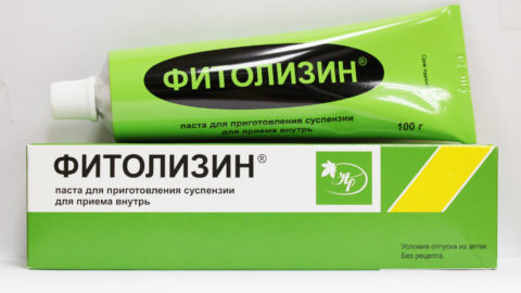 Препарат Фитолизин выпускается в виде пасты для приготовления суспензии для приема внутрь.